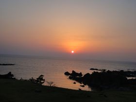 {Cɒޗ[z𒭂߂Iun][g zeȁv̋LTlC