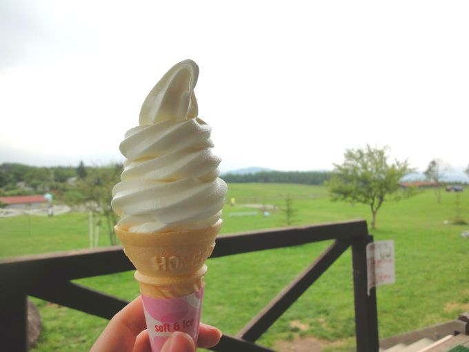 長門牧場の牛乳で作られたソフトクリーム！