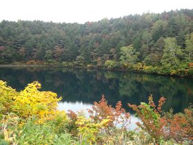 Rogu[ɋPuvIEyŌȂX|bg̋LTlC