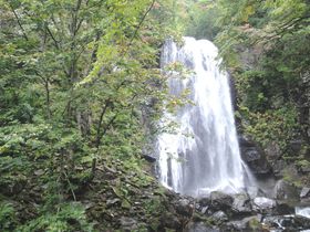 ܐFȂI֒usvŨ|Cg̋LTlC