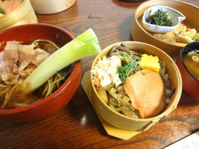 gϔсhHׂȂ猳cŁcIÎᏼucGv̋LTlC