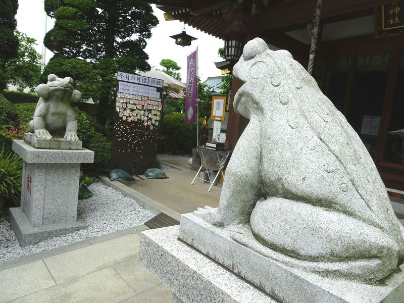こ、狛蛙!?カエルが神使いのレアな神社！埼玉「水宮神社」