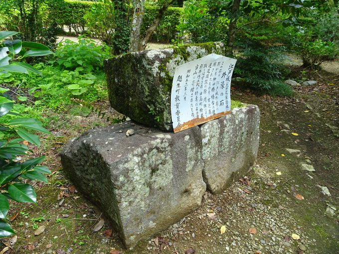 見どころ3：江戸城外濠の石もある！