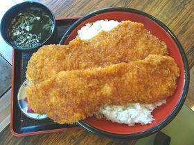 gK炶hɋIuvŊH`WĂ݂H̋LTlC