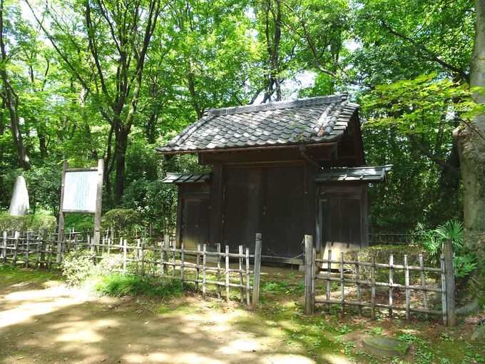 岩槻城址公園に訪れたら必見の史跡「黒門」と「裏門」