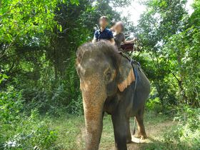 ]Eg̓IJ`iu[Ń]Ěu|[ Gt@g Lvv̋LTlC