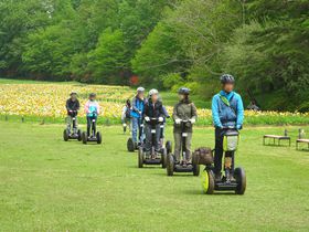 ԔɃZOEFCAʔVIʁucuːXьv͉ƑŊy߂X|bg̋LTlC