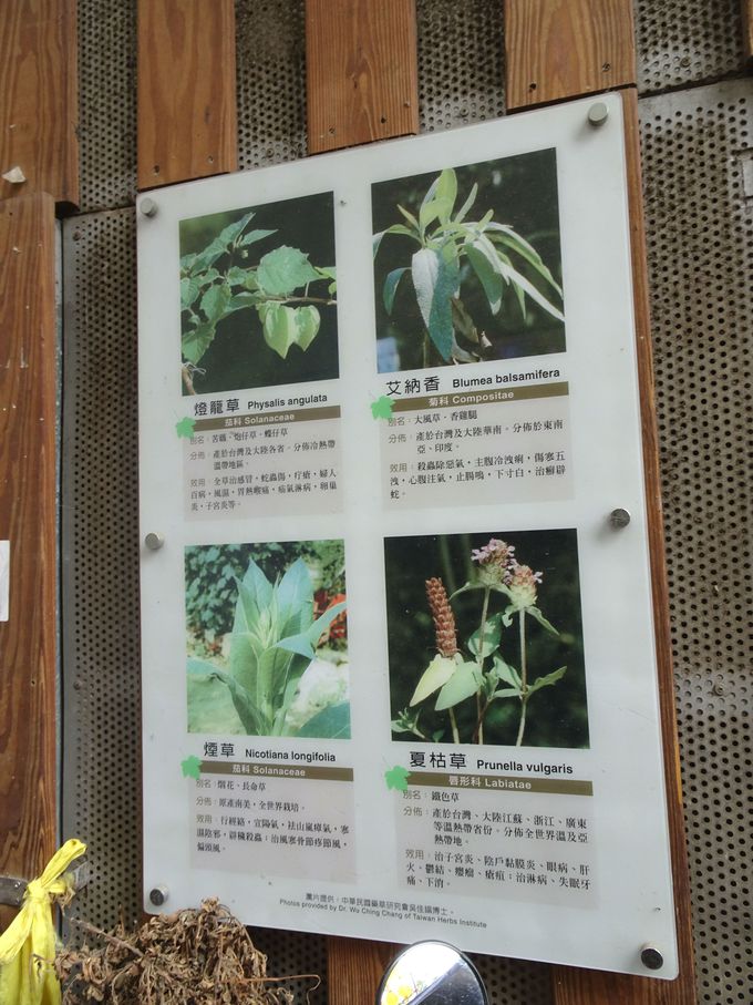 p[X|bguRvɗאڂuJv