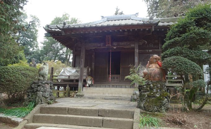 たぬきポイント３：参道前からもタヌキを発見！　境内にある神社にも…!?