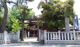 ܂̂܂ɕaC̍ŋp[X|bgIʁusc_Ёv̋LTlC