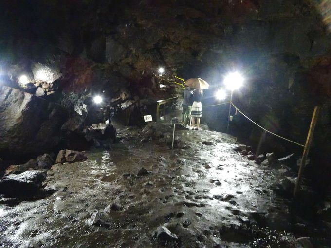 �����ő勉�̗n�⓴�A�I�u��啗���v�ŕx�m�R�p���[��������