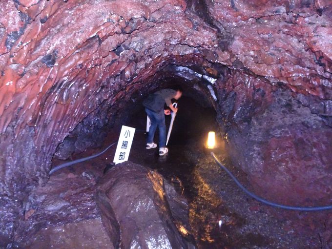 �q��̂����v���Ă��I�^�h���}�̃��P�n�ɂ��Ȃ����u��ٓ��v