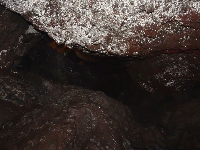 �q��̂����v���Ă��I�^�h���}�̃��P�n�ɂ��Ȃ����u��ٓ��v