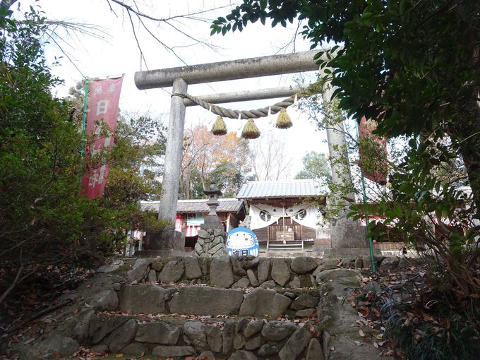 日本で唯一のお社！「日本神社」は世界レベルの勝ち運神社