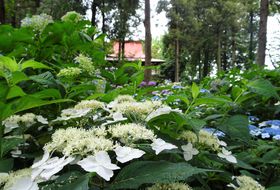 ẼAWTCϏ܁I܁uwX_Ёv_X̋LTlC