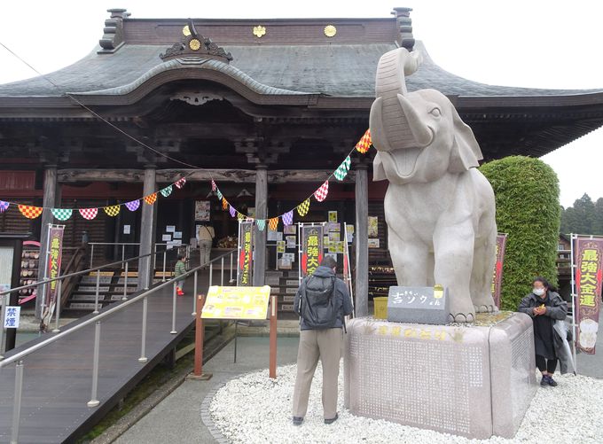 日本一の金運寺は千葉・長生郡にある！「長福寿寺」