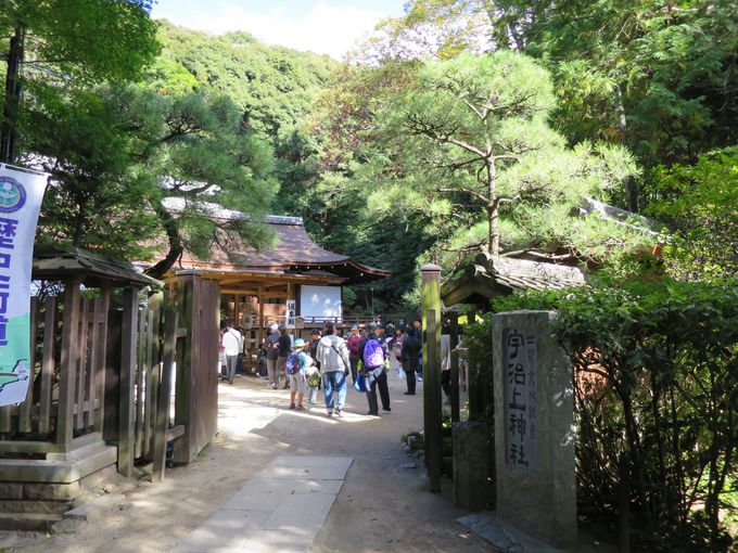 宇治観光にオススメ 寺社仏閣 体験 カフェなど盛りだくさん Lineトラベルjp 旅行ガイド