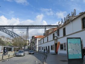 �����|�[�g���C���I�|���g�K���E�|���g�̃J�������C�i���[�c�A�[