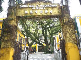 2�{�̌Ö؂Ɋ肢�����߂āI�����Y���}�J�I�E���U���n��̋L���T���l�C��