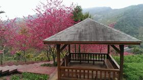 �t�x�݂ɍs��������p�̊ό��X�|�b�g8�I �������i�F�ɉ�ɍs�����̋L���T���l�C��