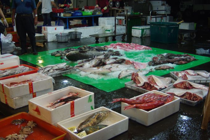 台湾の魚市場 朝市巡りなら台南 安平 魚市場 公有市場 へ 台湾 Lineトラベルjp 旅行ガイド