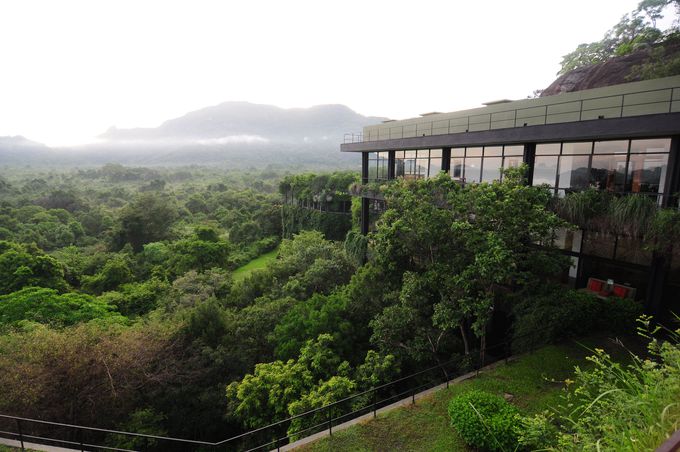スリランカで最も泊まりたいホテルのひとつ「ヘリタンス カンダラマ」