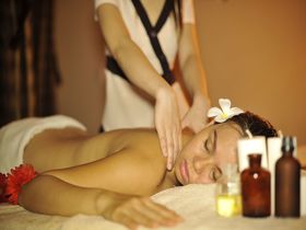 �z�[�`�~���̂����߃X�p�͂����I�g���u������̃R�c�����Љ�̋L���T���l�C��