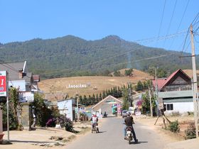 �x�g�i���E�����r�A���R�ŏ��������̐l�������炨�y�Y�𔃂����I�̋L���T���l�C��