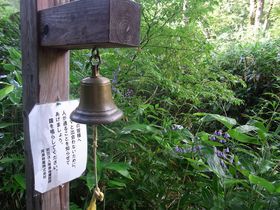 {Bő̎AŎRinCLOKCh̋LTlC