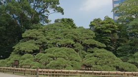 šYΖLȏR̒Eul{뉀v̋LTlC