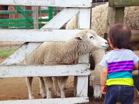 ɃgNlXyVŌNÉwցIߊόX|bg7I̋LTlC