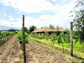 󏭂ȓăC߂Đԓ̃GNAhւ̋LTlC