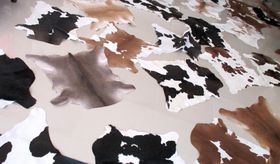 v̊XEGNAh̃R^J`ցAAfX̂yYT̋LTlC