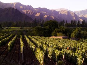風光明媚！世界最高地のワイン産地・アルゼンチン“コルメ”