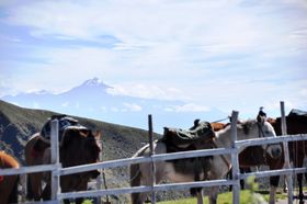 VeB[cA[ŋCyɓoR!?GNAhEs``R̋LTlC