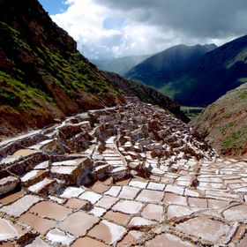 6SNO瑱svcȁu}X̉cv}`s`̓ɂ̋LTlC