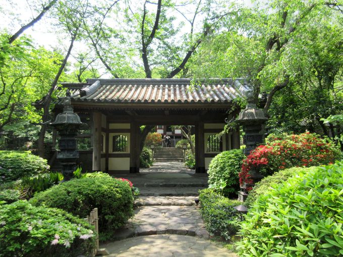 手ぶらで東京観光 日本庭園も一見の価値あり グランドプリンスホテル新高輪 東京都 Lineトラベルjp 旅行ガイド