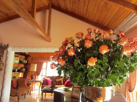 ăAfX̑][gƂ́HGNAhu~[WvŗDȑ؍݂̋LTlC