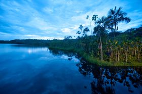 鋫A}]OWA[ɁIGNAhuT`bWvől̖`̋LTlC