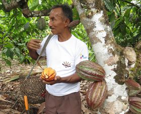 Cyɍs{iIA}]IGNAhutAXNCEbWv̋LTlC