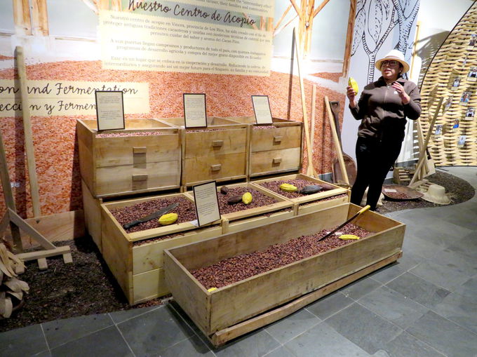 �G�N�A�h�����\����`���R���[�g���[�J�[