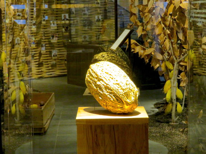 �J�J�I�E�~���[�W�A���ƃA�g���G