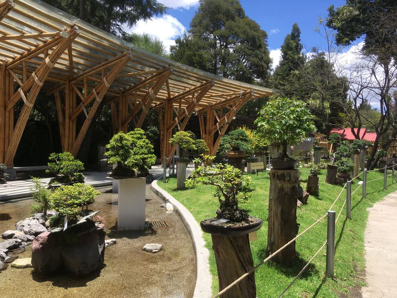 「キト植物園」はエクアドルの多種多様な植物の宝庫