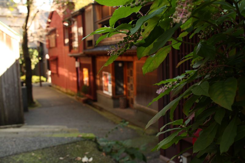 あかり坂、暗がり坂。裏道散歩で楽しむ金沢「主計町茶屋街」