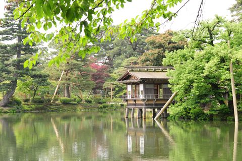 �P�Ԕ������̂͂ǂ��H���{�O��뉀���ׂĂ݂��̋L���T���l�C��