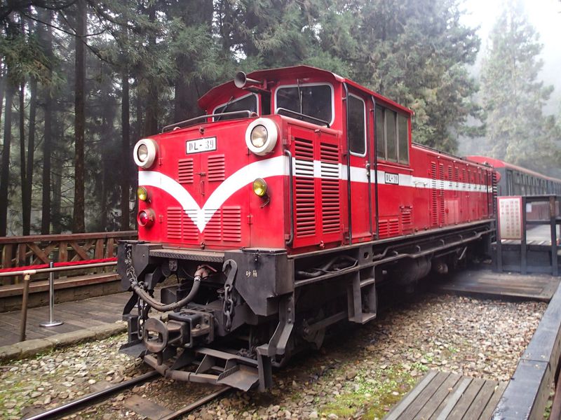 世界三大登山鉄道「阿里山森林鉄道」に乗って台湾最強パワースポット「阿里山」へ行こう