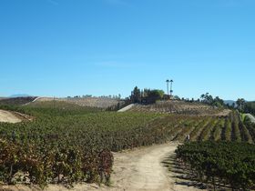 ɏハCoJXIlC㏸̃JtHjAEeLւ̋LTlC