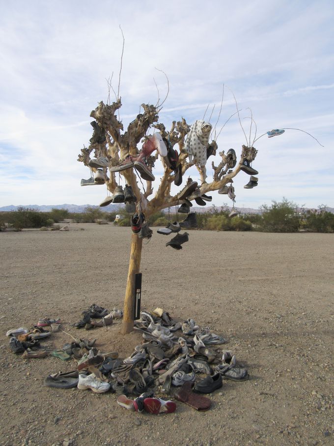 ̖؁`Tree of Souls
