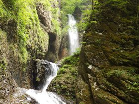 ���򂾂�������������Ȃ��I�ߐ{�����k�J�̂R��߂���I�̋L���T���l�C��