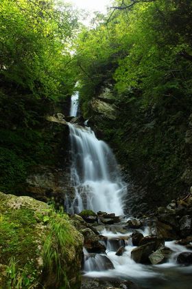 ��i�́w���邵�̑�x�A���{��́w�������x�͈����I��É������̋L���T���l�C��